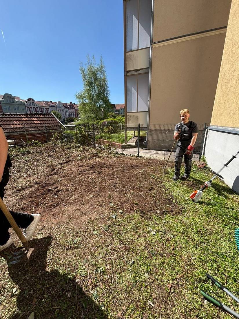 ONF im Einsatz: Gartenfläche wird gerodet und Grünabfall entfernt